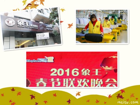 洗衣加盟連鎖選象王的優(yōu)勢(shì)在哪